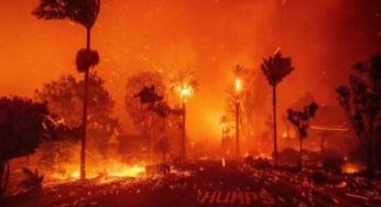 Kebakaran Hutan Melanda Los Angeles: Ancaman Baru dan Tantangan Besar