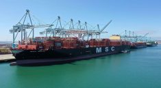 Defisit Perdagangan Barang Amerika Serikat Menyempit Tajam