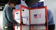 Small Parties and the 2025 Voter Shift