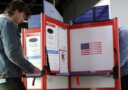 Small Parties and the 2025 Voter Shift